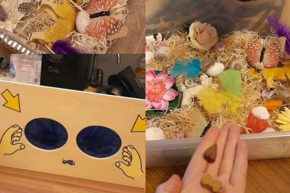 Boîte aux trésors sensoriels