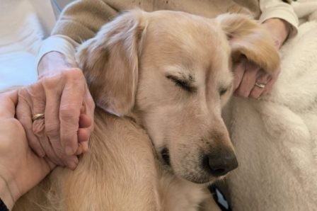 Caresses sensorielles