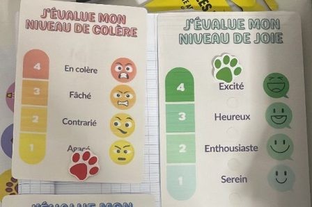 Évaluation des émotions en autonomie