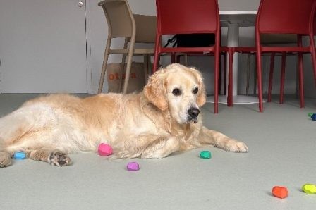 La Tour d’Equilibre