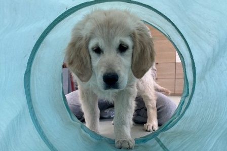 Le Parcours Silencieux