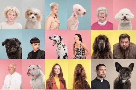 Tel maître tel chien