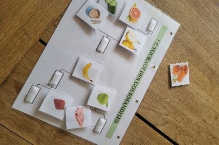 Tournoi des gourmandises